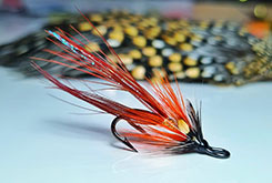 Fly DresserAnthony McCann Co. Antrim