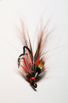 Dean Armstrong Saalmon Fly