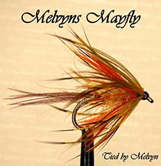 Melvyn Wood Mayfly