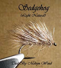 Melvyn Wood Sedgehog 
