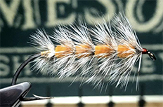 Peter Kealey Kelson Grub